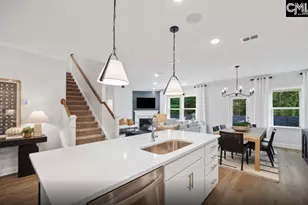 342 Meadow Ridge Rd, Chapin, SC 29036 - Photo 6