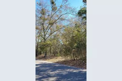 0 Barnwell Highway #Lots 7 &amp; 8, Denmark, SC 29042 - Photo 2