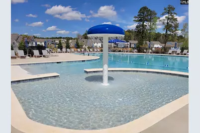 447 Edith Court, Blythewood, SC 29016 - Photo 22