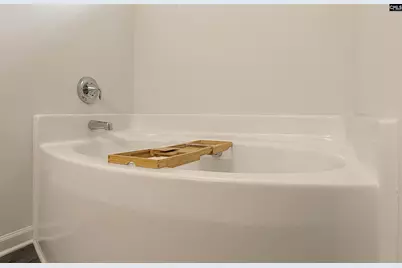 332 Wahoo Circle, Irmo, SC 29063 - Photo 16