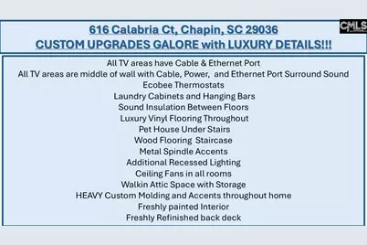 616 Calabria Court, Chapin, SC 29036 - Photo 6