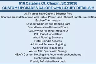 616 Calabria Ct, Chapin, SC 29036 - Photo 6