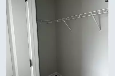 702 Clementine Run, Gilbert, SC 29054 - Photo 36