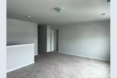 702 Clementine Run, Gilbert, SC 29054 - Photo 32