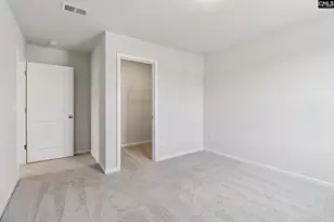 702 Clementine Run, Gilbert, SC 29054 - Photo 10