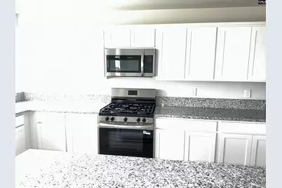 702 Clementine Run, Gilbert, SC 29054 - Photo 50