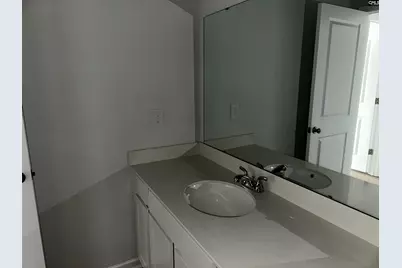 702 Clementine Run, Gilbert, SC 29054 - Photo 40