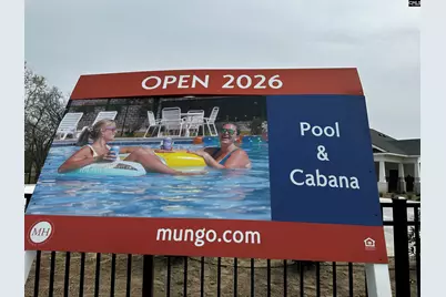 702 Clementine Run, Gilbert, SC 29054 - Photo 62