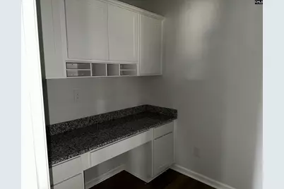 702 Clementine Run, Gilbert, SC 29054 - Photo 42