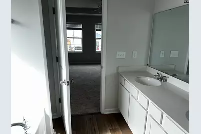 702 Clementine Run, Gilbert, SC 29054 - Photo 24