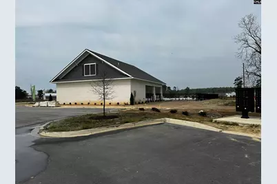 702 Clementine Run, Gilbert, SC 29054 - Photo 66