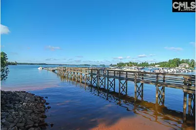 329 Oxenbridge Way, Chapin, SC 29036 - Photo 26