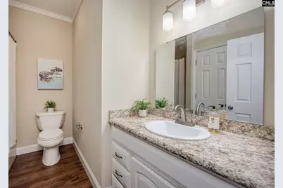 28 Tall Palmetto Lane, Lexington, SC 29072 - Photo 20