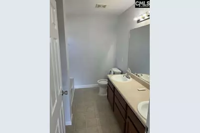 212 Walkbridge Way, Chapin, SC 29036 - Photo 6