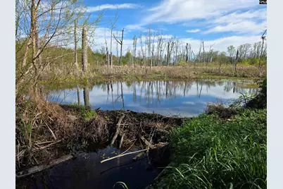Tbd Blewer Road, Cordova, SC 29039 - Photo 6