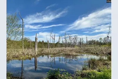 Tbd Blewer Road, Cordova, SC 29039 - Photo 4
