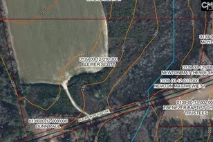 Tbd Blewer Rd, Cordova, SC 29039 - Photo 1