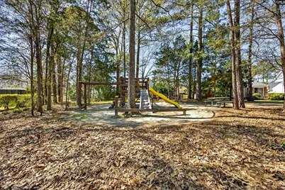817 Willowood Parkway, Chapin, SC 29036 - Photo 48