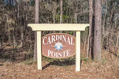 Tbd Sc Highway 215 #5, Jenkinsville, SC 29065 - Photo 14