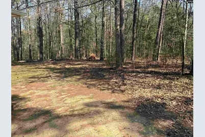 768 Dr Bowers Rd, Little Mountain, SC 29075 - Photo 8