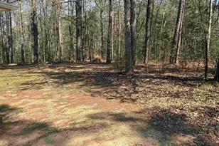 768 Dr Bowers Rd, Little Mountain, SC 29075 - Photo 8