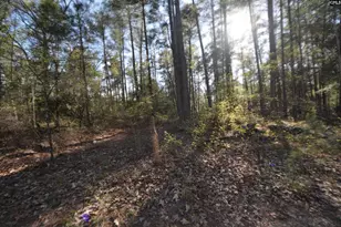 110 Kennerly Rd, Sandy Run, SC 29112 - Photo 20