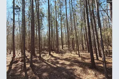 Bhl 10 Boise Cascade Road Bhl 10, Bethune, SC 29009 - Photo 4