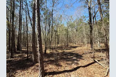 Bhl 10 Boise Cascade Road Bhl 10, Bethune, SC 29009 - Photo 8