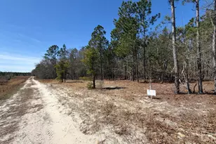 Bhl 10 Boise Cascade Road Bhl 10, Bethune, SC 29009 - Photo 24