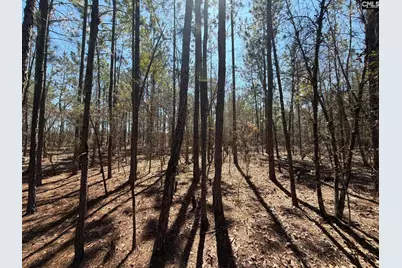 Bhl 10 Boise Cascade Road Bhl 10, Bethune, SC 29009 - Photo 16