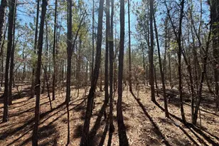 Bhl 10 Boise Cascade Road Bhl 10, Bethune, SC 29009 - Photo 16