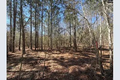 Bhl 10 Boise Cascade Road Bhl 10, Bethune, SC 29009 - Photo 10