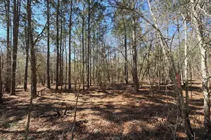 Bhl 10 Boise Cascade Road Bhl 10, Bethune, SC 29009 - Photo 10