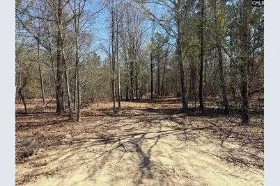 Bhl 10 Boise Cascade Road Bhl 10, Bethune, SC 29009 - Photo 1