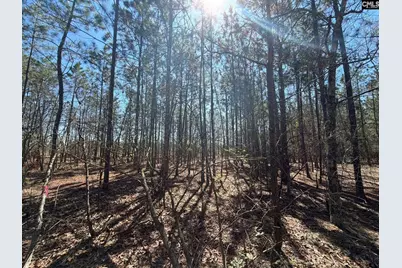 Bhl 10 Boise Cascade Road Bhl 10, Bethune, SC 29009 - Photo 20