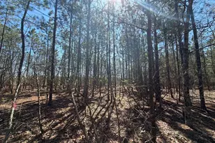 Bhl 10 Boise Cascade Road Bhl 10, Bethune, SC 29009 - Photo 20