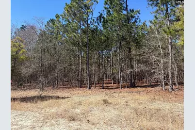 Bhl 10 Boise Cascade Road Bhl 10, Bethune, SC 29009 - Photo 22