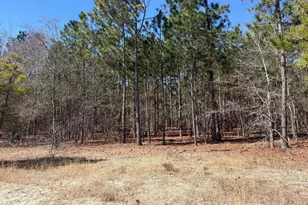 Bhl 10 Boise Cascade Road Bhl 10, Bethune, SC 29009 - Photo 22