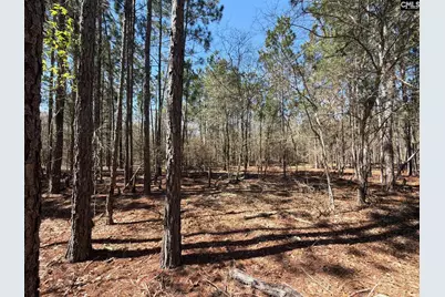 Bhl 10 Boise Cascade Road Bhl 10, Bethune, SC 29009 - Photo 12