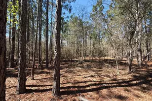 Bhl 10 Boise Cascade Road Bhl 10, Bethune, SC 29009 - Photo 12