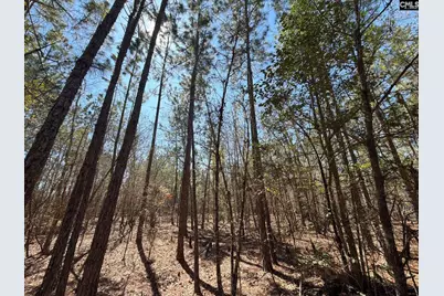 Bhl 10 Boise Cascade Road Bhl 10, Bethune, SC 29009 - Photo 14