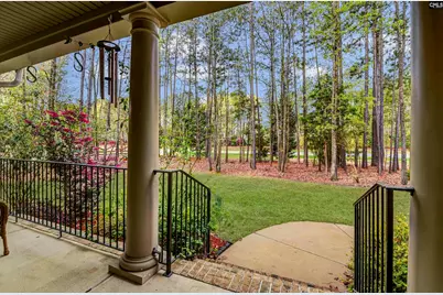 2411 Old Lexington Highway, Chapin, SC 29036 - Photo 50
