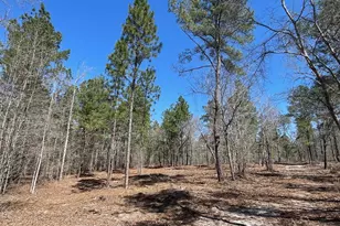 1870 Henry Davis Rd, Cassatt, SC 29032 - Photo 1