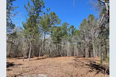 1870 Henry Davis Road #1, Cassatt, SC 29032 - Photo 2