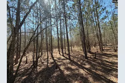 Bhl 11 Boise Cascade Road Bhl 11, Bethune, SC 29009 - Photo 22