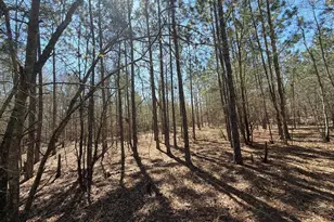 Bhl 11 Boise Cascade Road Bhl 11, Bethune, SC 29009 - Photo 22