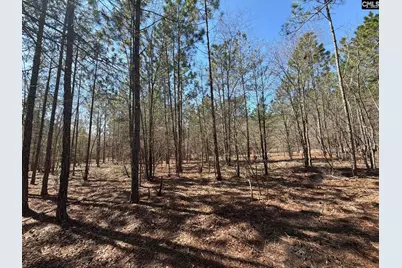 Bhl 11 Boise Cascade Road Bhl 11, Bethune, SC 29009 - Photo 24