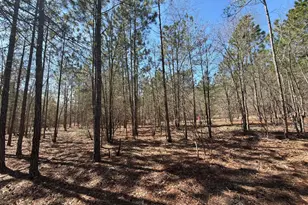 Bhl 11 Boise Cascade Road Bhl 11, Bethune, SC 29009 - Photo 24