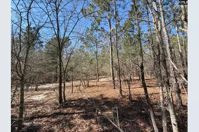 Bhl 11 Boise Cascade Road Bhl 11, Bethune, SC 29009 - Photo 20