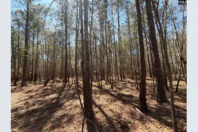 Bhl 11 Boise Cascade Road Bhl 11, Bethune, SC 29009 - Photo 10